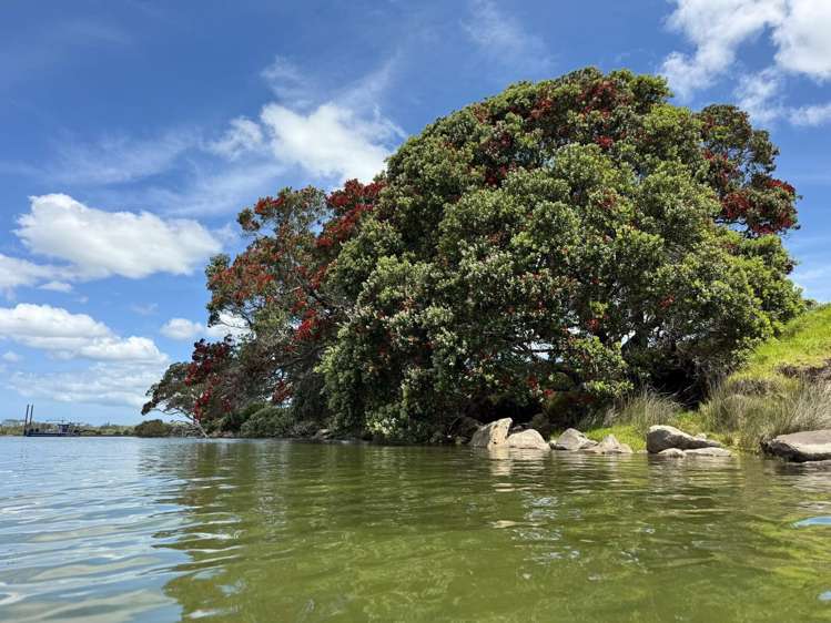 3 William Gilbert Drive Mangawhai_6