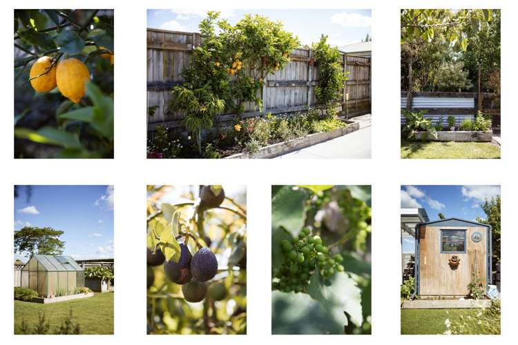 58B Wilson Rd South Paengaroa_29