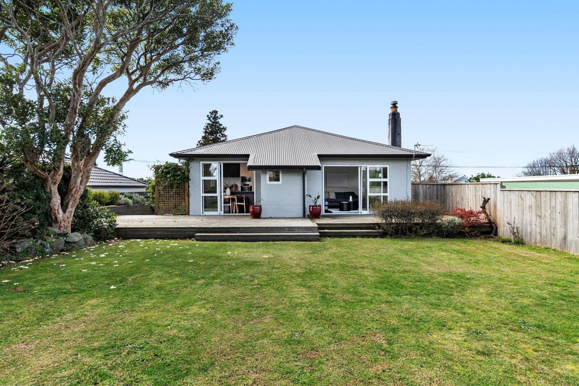228 Carrington Street Vogeltown_0