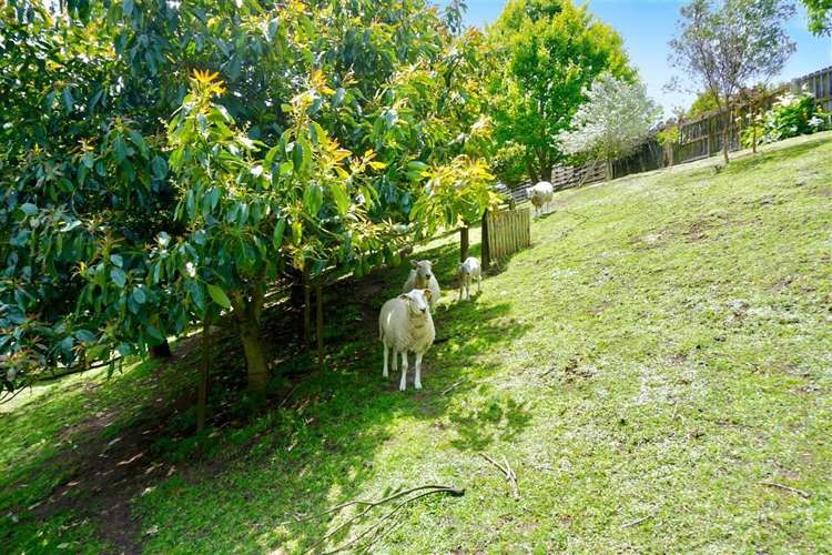 152 Cameron Road Te Puke_15