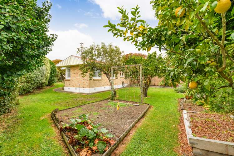 14 Innes Place Roslyn_25