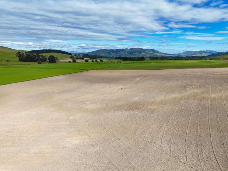 200 Caroline Valley Road Caroline_12