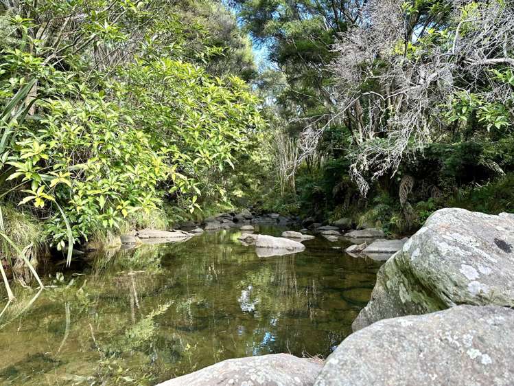 123b Montrose Road Kerikeri_15