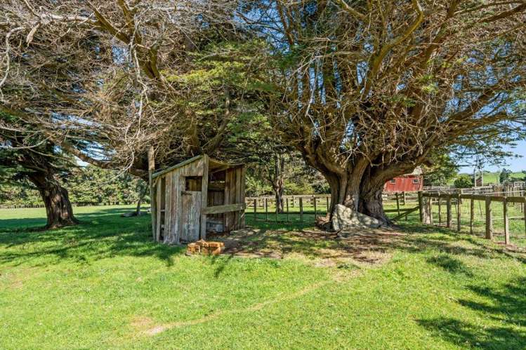48 Piripiri Road Pohangina Valley_26