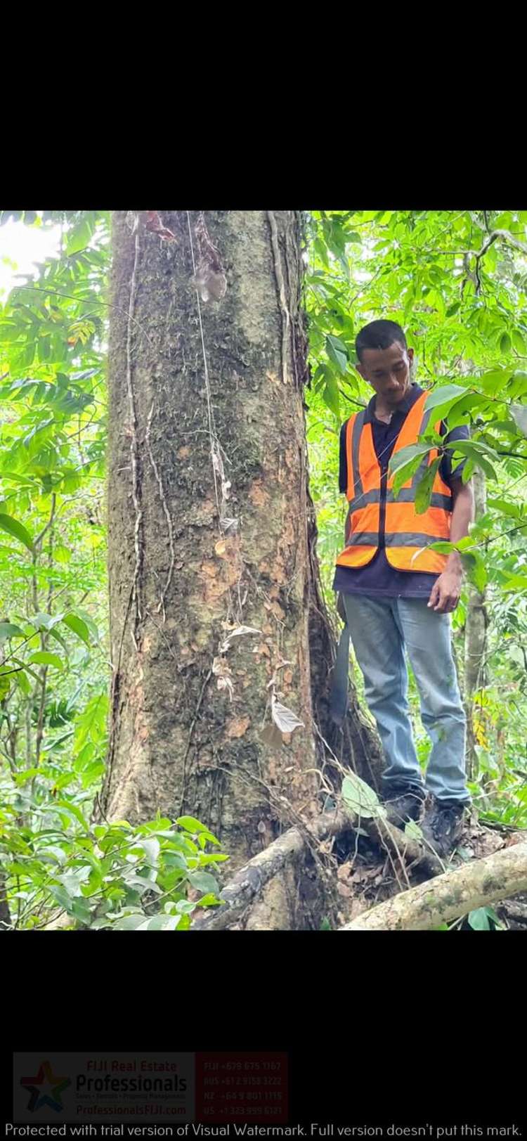 Address withheld Savusavu_22