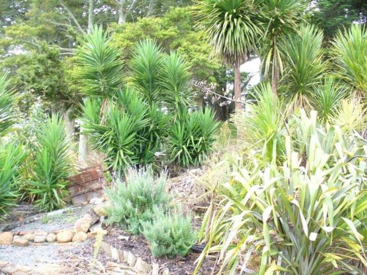 150 Jordan Valley Road Hikurangi_15