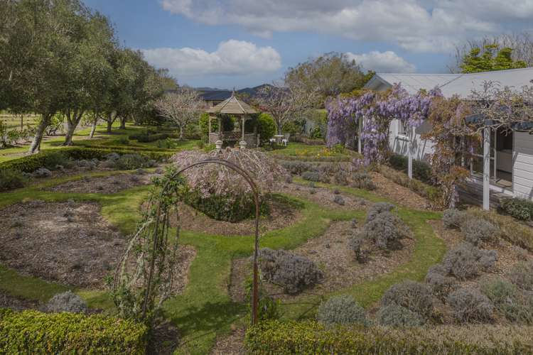 62 Racecourse Road Whitianga_5