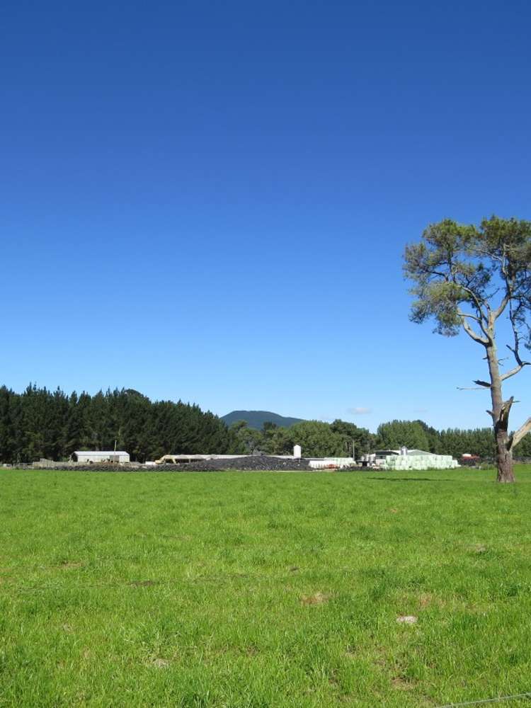 6261 State Highway 1 Kinleith_12