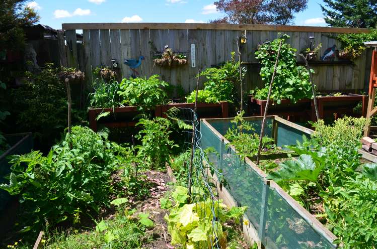 14 Charles Street Takapau_18