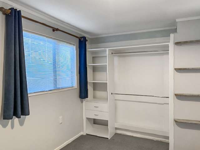 8B Te Awa street 1207_2