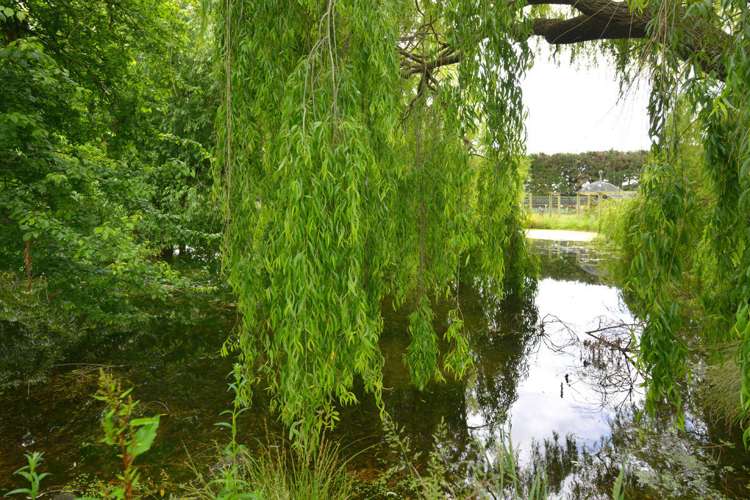 163 Breadings Road Bankside_16