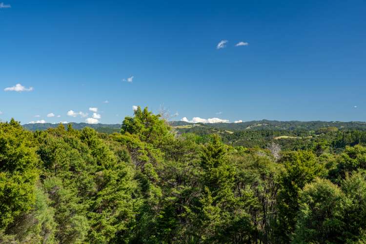 Mangahui Road Whareora_20