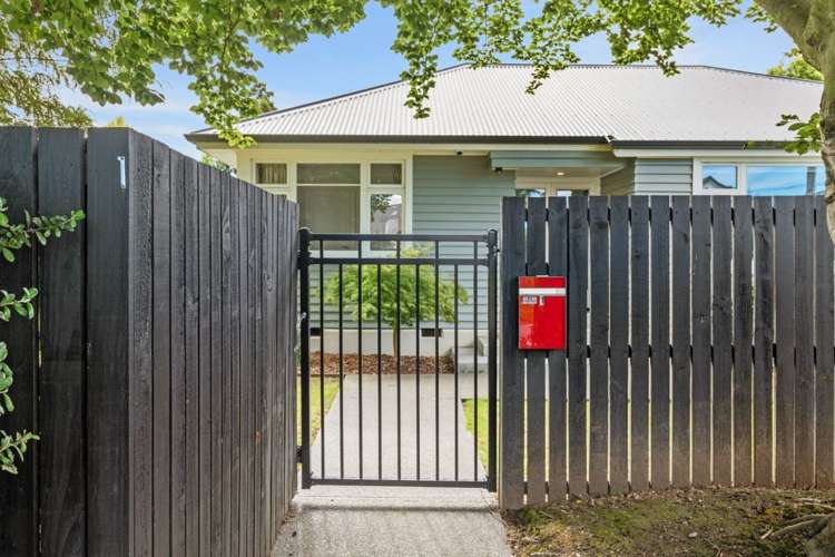 98 Hamilton Avenue Ilam_17