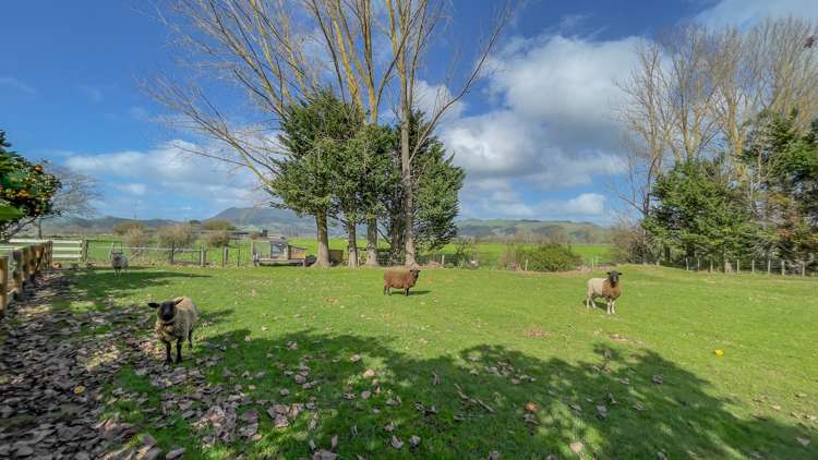 30 Ryall Road Paeroa_16