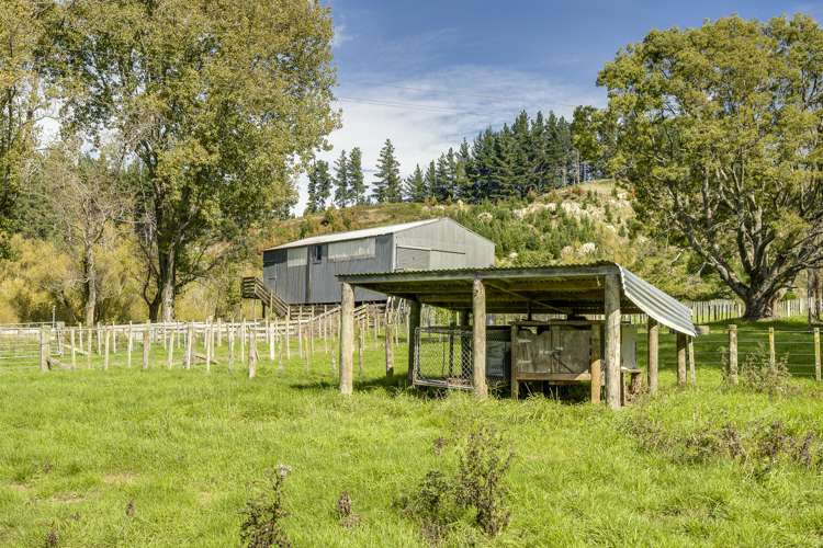 888 Kakariki Farm Road Kotemaori_30