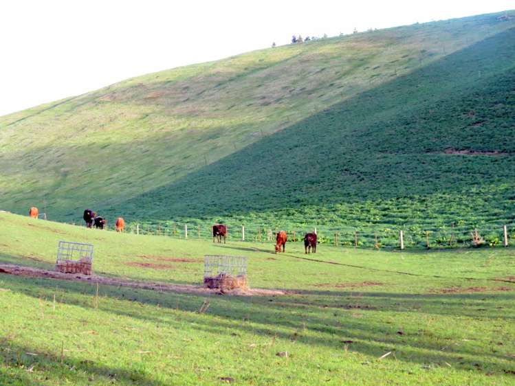 1629 Weston-Ngapara Road Enfield and Surrounds_9