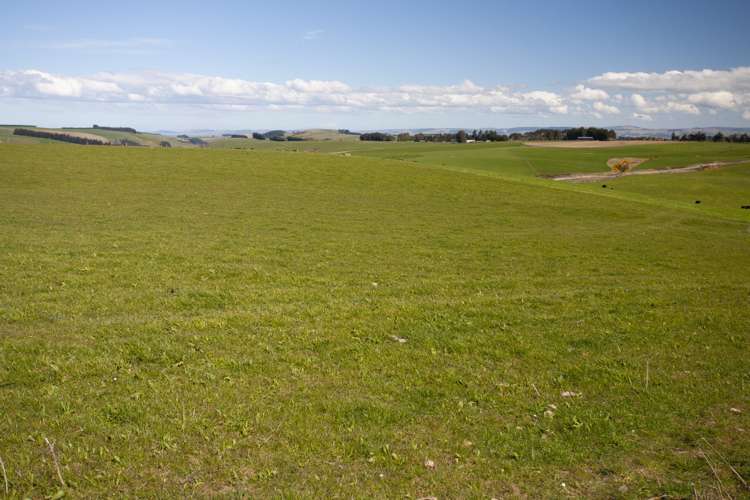 17 Tongue Road Balclutha_5