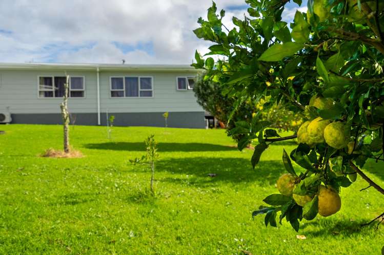 64 Tapper Crescent Tikipunga_19