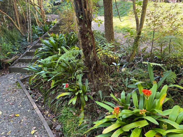 228 & 230 Shoal Bay Road Great Barrier Island_16