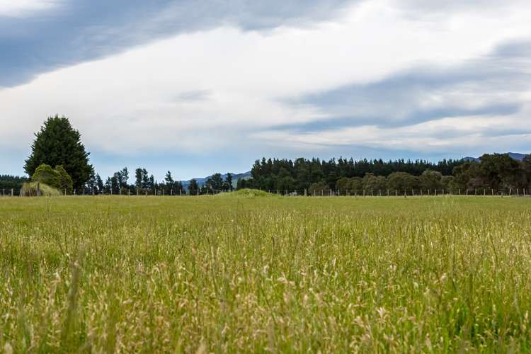 349 Norfolk Road Carterton_7