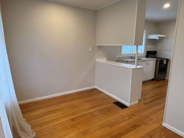 54 Smythe Road Henderson_2