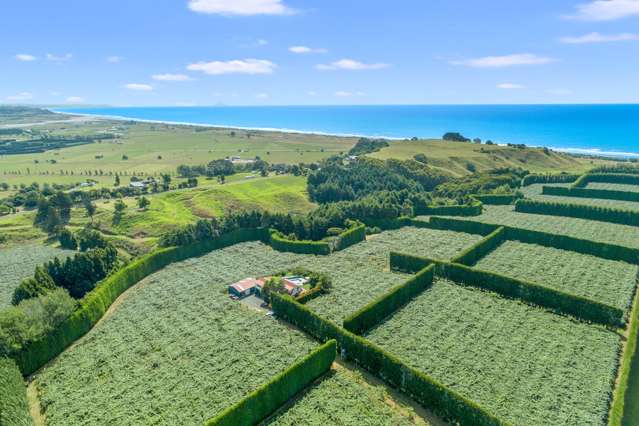 106 Beach Road Opotiki Coastal_4