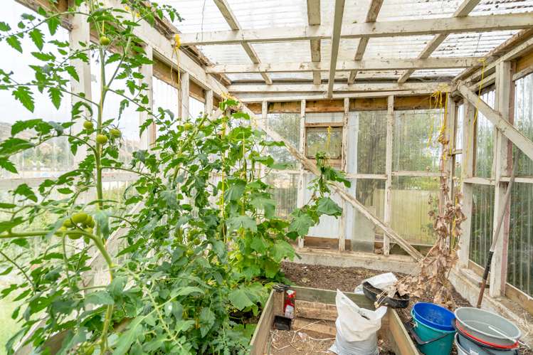 25 Castleton Street Allanton_30