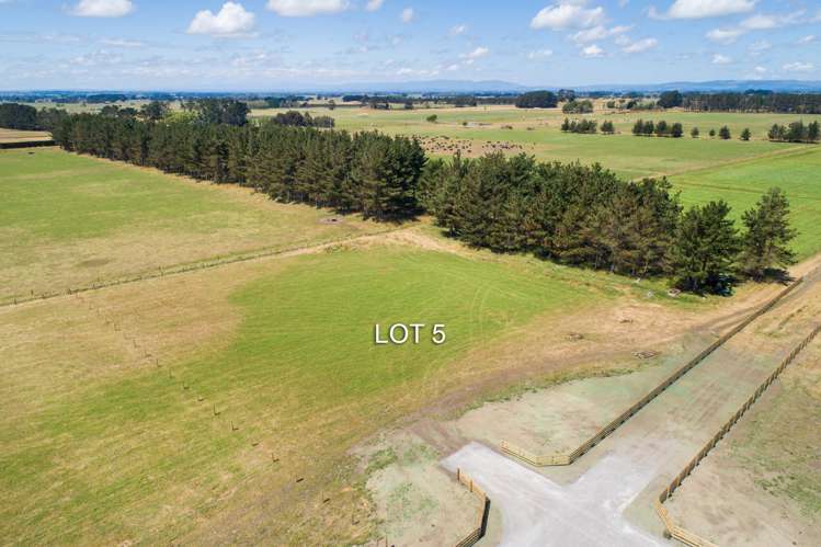 Kellow Road Subdivision Glen Oroua_5