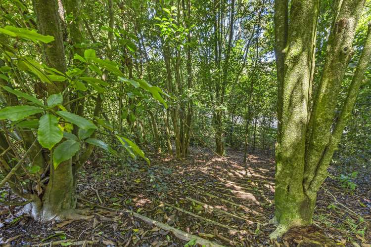 11 Scotsvale Drive Tauwhare_24