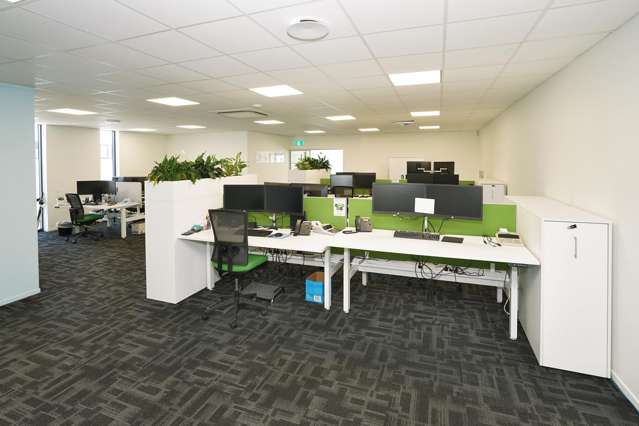 104 Sealey Street Thames-coromandel_4