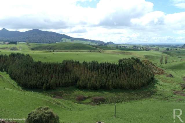 230 Waimanu Road Pukeatua_1