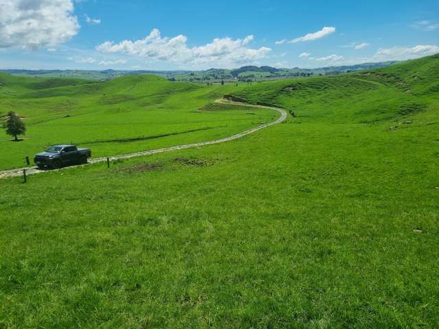 Kahuwera Road Piopio_1