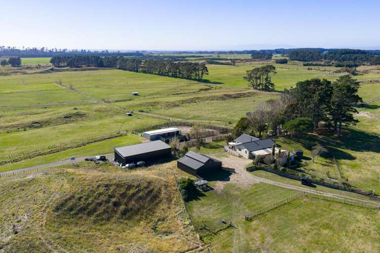 163 Downs Road Himatangi_28