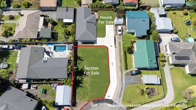 3A Griffiths Place Claudelands_1