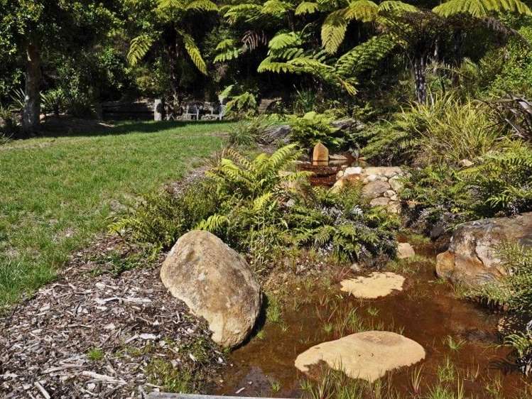 205 Pumpkin Hill Road Pumpkin Hill_7