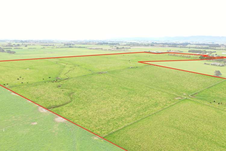 119 Pharazyn Road Feilding_0