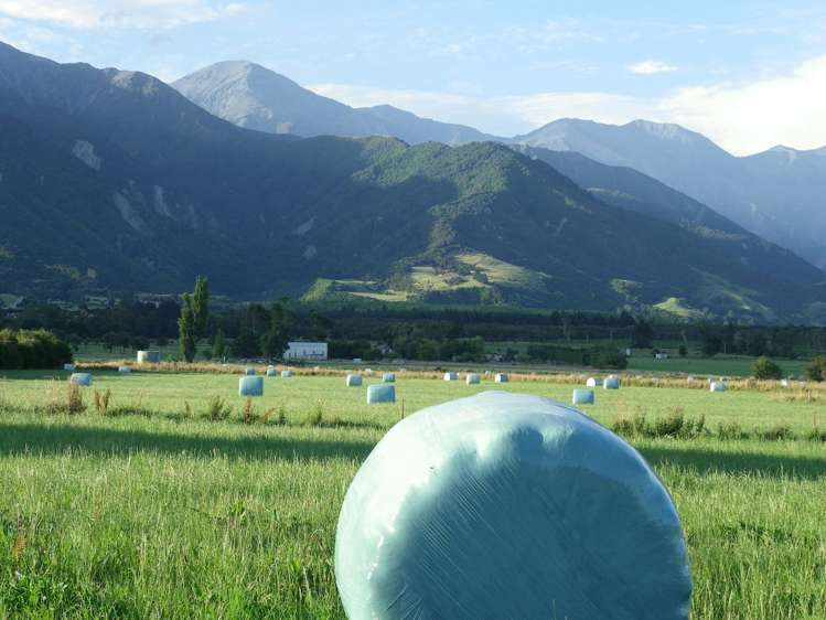 208 Schoolhouse Road Kaikoura_7