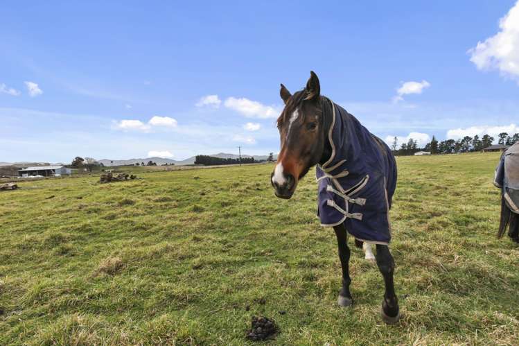 258 Foothills Road Okuku_10