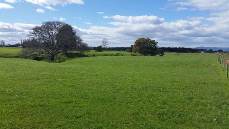 Morrinsville-Tahuna Road Morrinsville_19