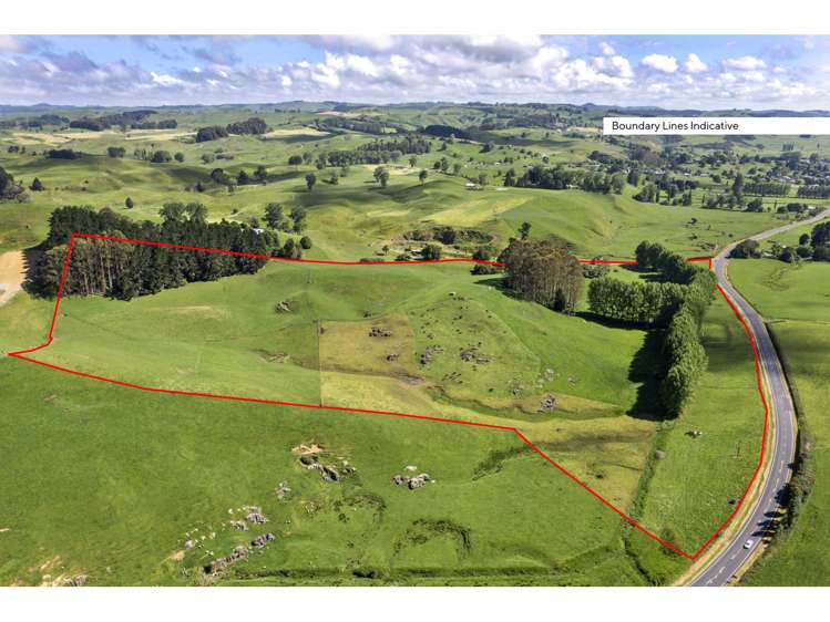 80 State Highway 3 Piopio_3