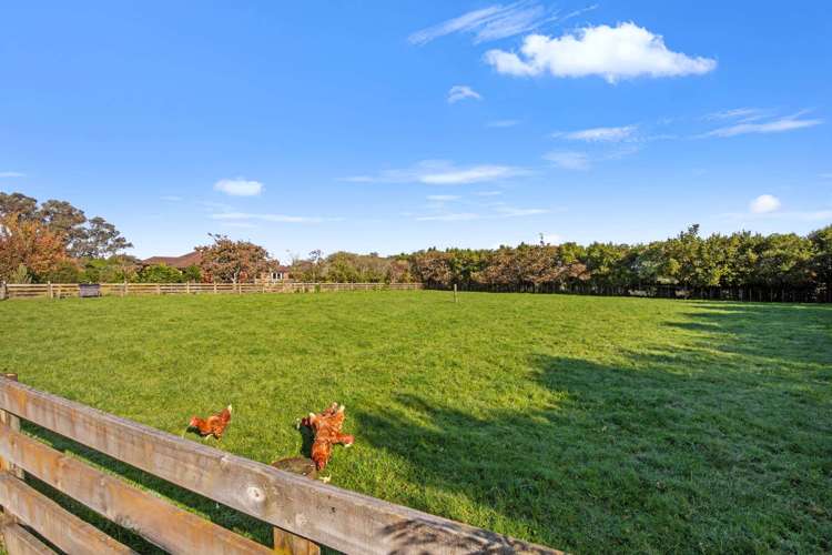 468 Tararua Road_1