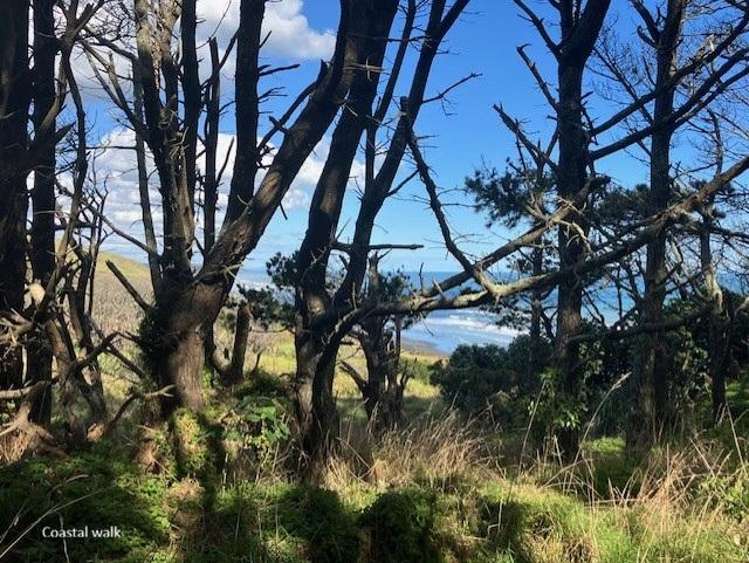 56/685 Karioitahi Road Waiuku_23