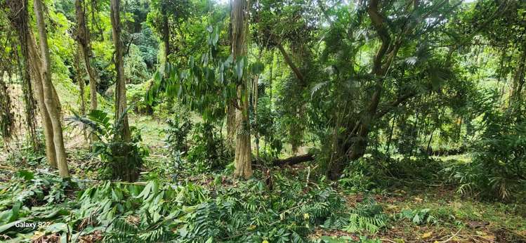 Lot 11 Raintree Estate, Oneva Savusavu_5