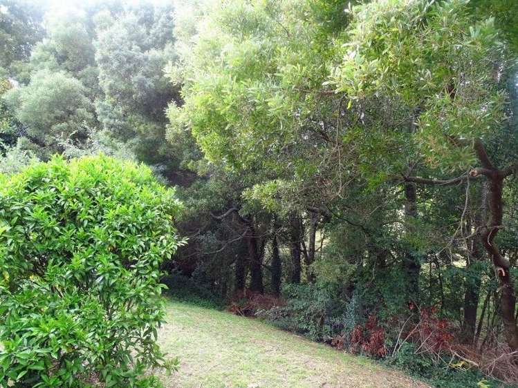 65 Shaw Avenue Paeroa_19