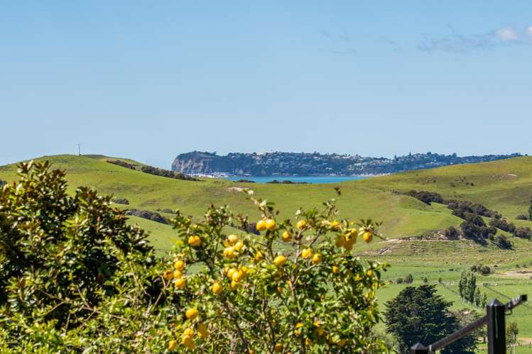 73C Avery Road Eskdale_7