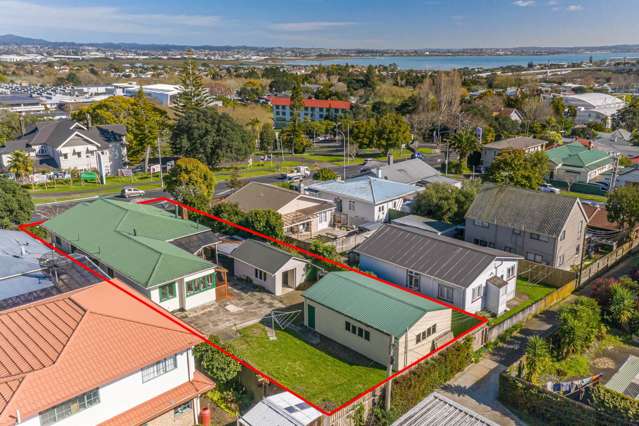 172 Carrington Road Mt Albert_2