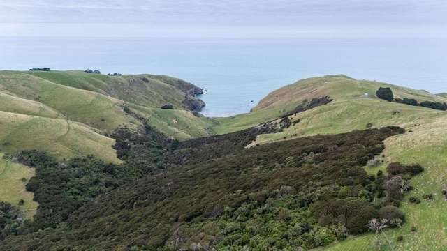 203 Paua Bay Road Akaroa_4