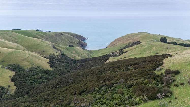 203 Paua Bay Road Akaroa_4