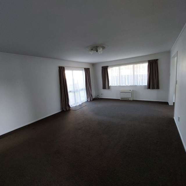 53 Rongopai Street Palmerston North_2