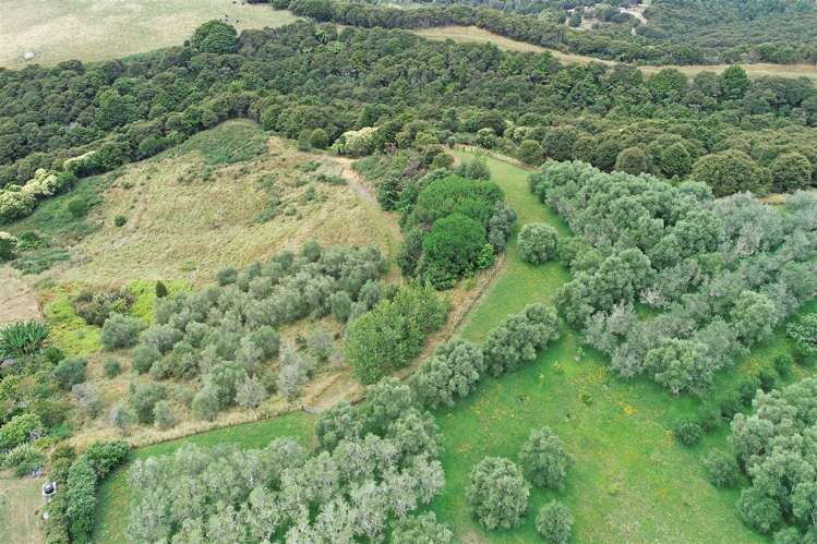 3699 Highway 22 Whangape_20